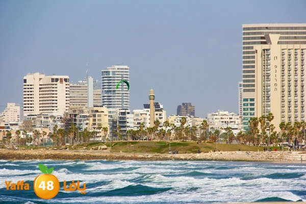 mina2 yaffaj343 (19).jpg